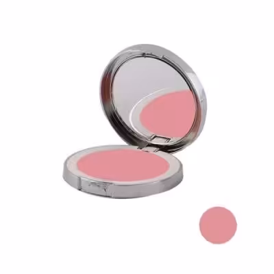 رژ گونه پرولایز شماره 807