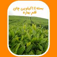 چای قلم چوب دار بهاره 1403 قیصر ( 5 کیلو)