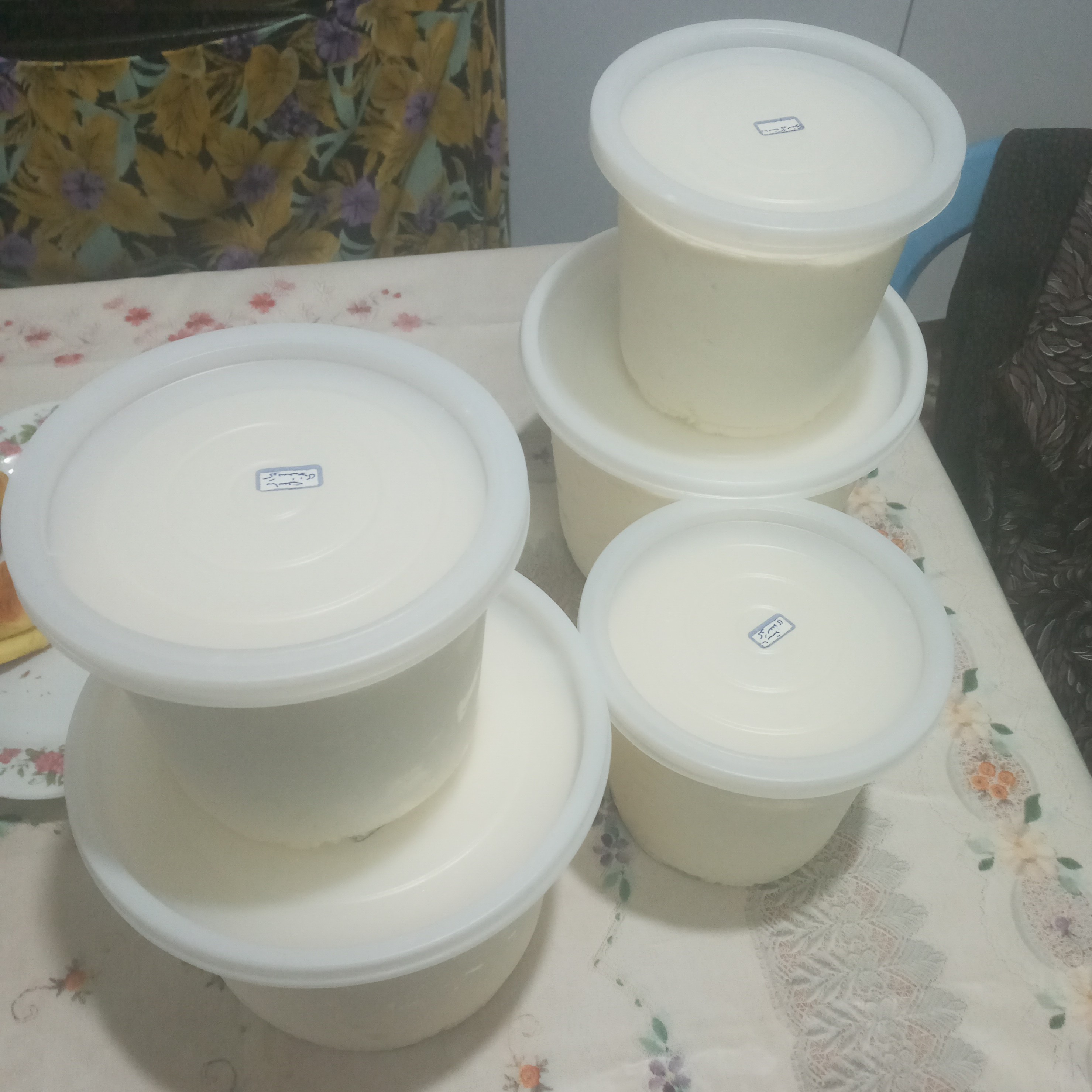ماست چکیده تازه گوسفندی کلی و جزئی 