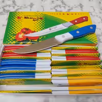 چاقو آشپزخانه استیل شانزین رنگ دسته آبی (کارد آشپزخانه ) 