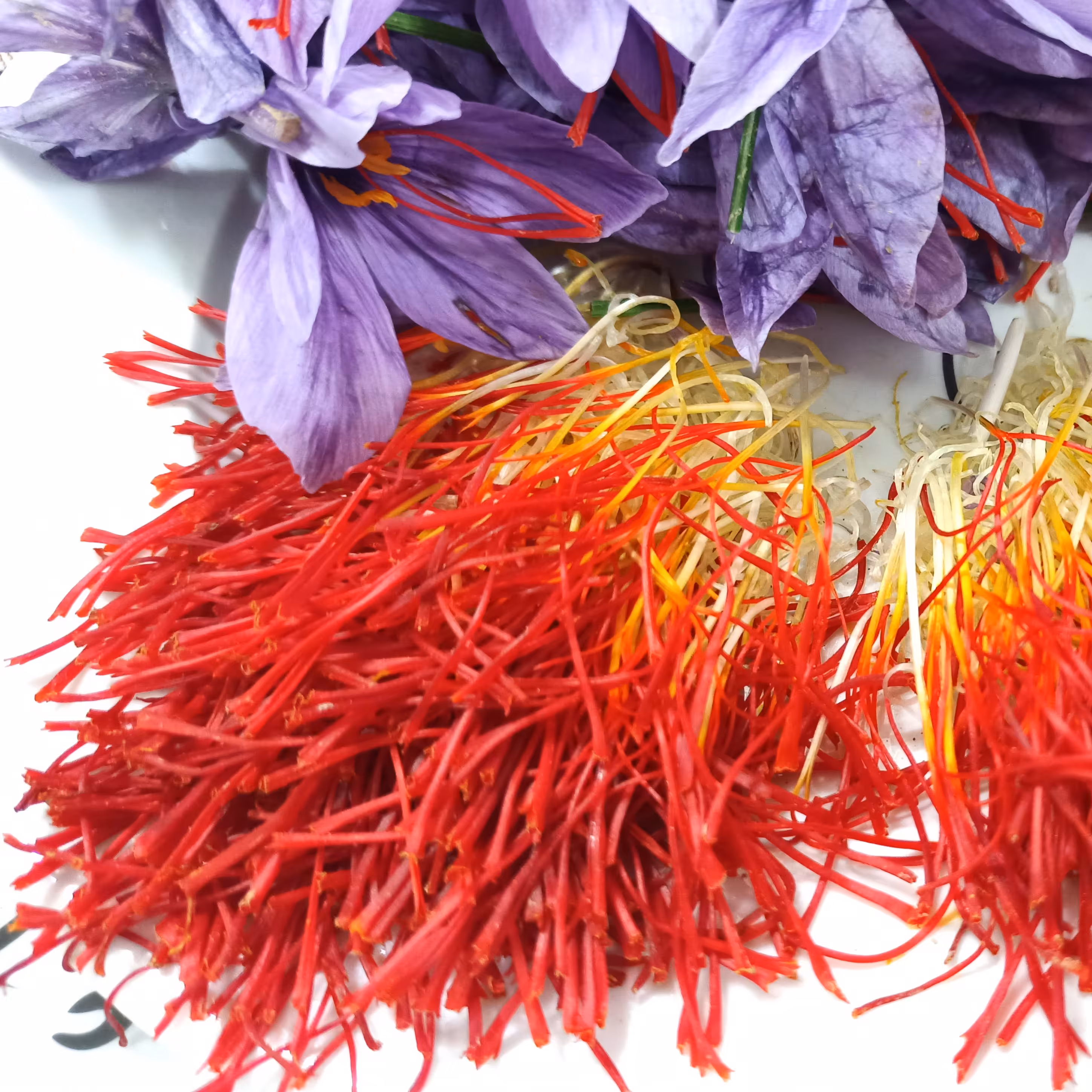 نگین زعفران درجه یک امسالی 1مثقالی ضمانت عطر و رنگ