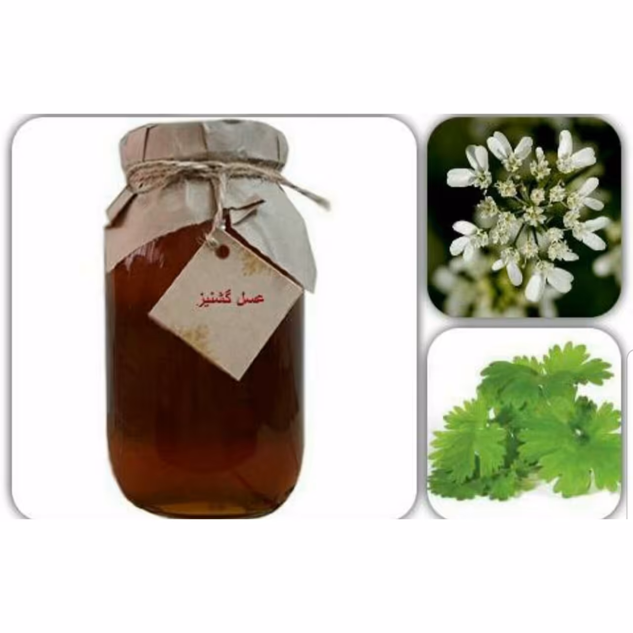 عسل گشنیز کندویی حجم 1000 گرم