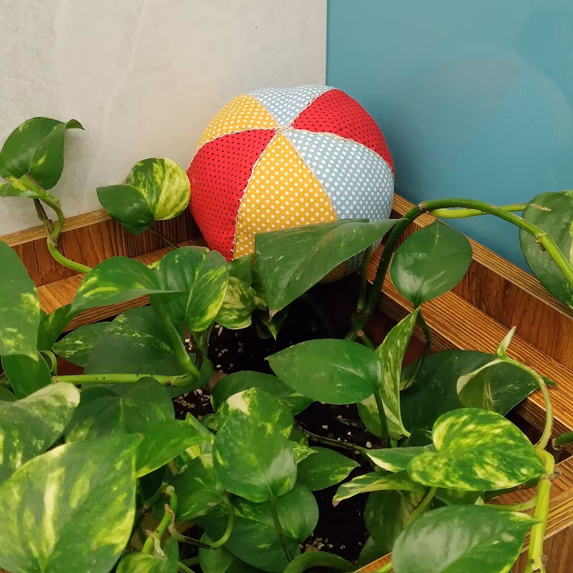 توپ های پارچه ای ویژه بازیهای آپارتمانی کودکان و بازی و سرگرمی حیوانات