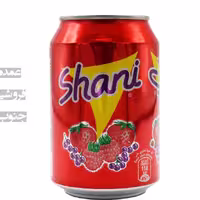 نوشیدنی گازدار شانی shani اصل300میل