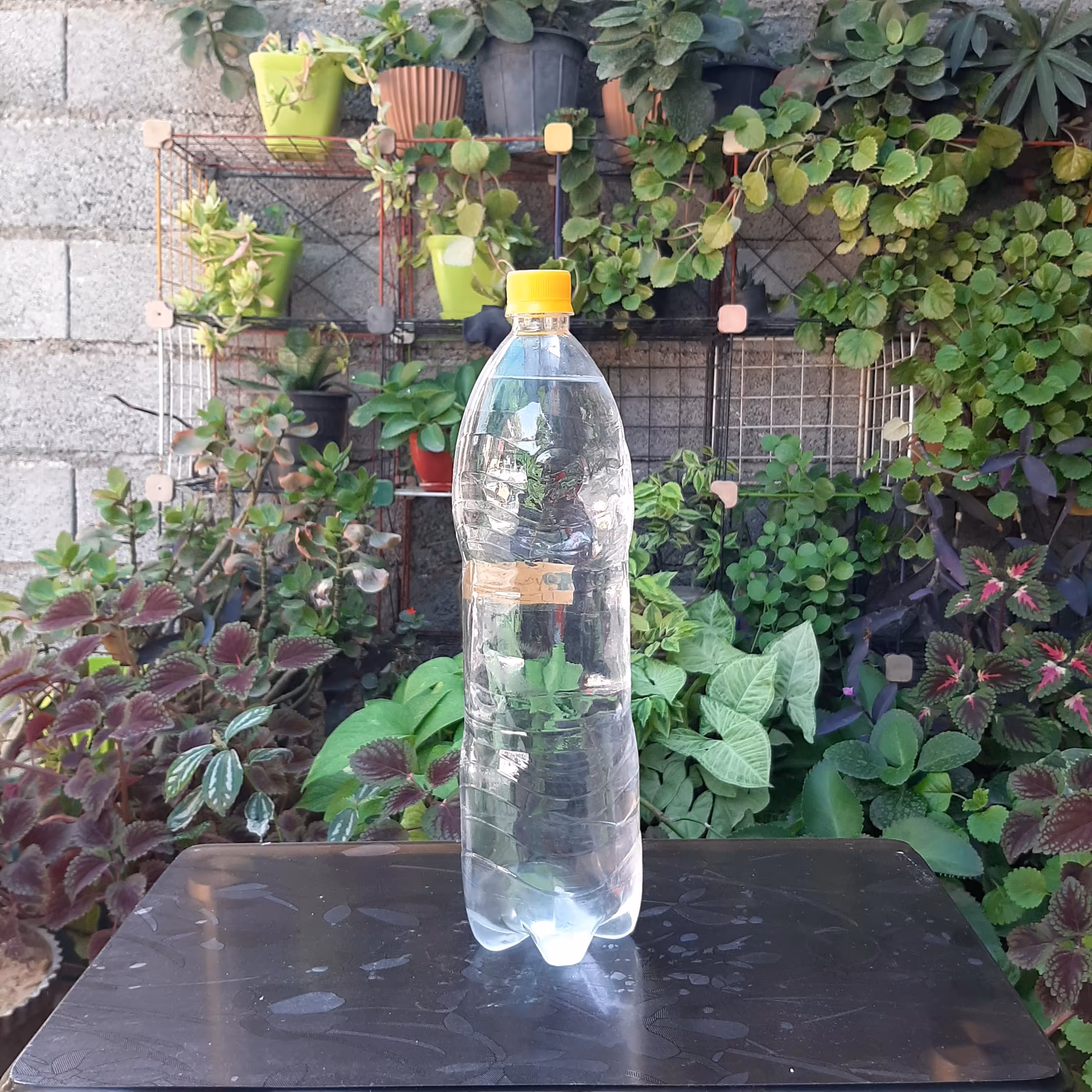 عرق ممتاز آلوئه ورا یک و نیم لیتری