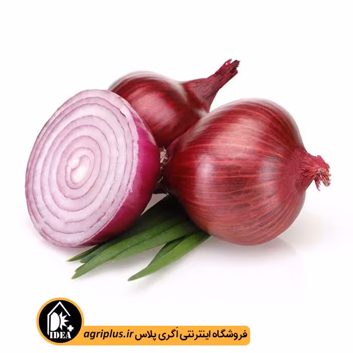 بذر پیاز قرمز بسته بندی خانگی