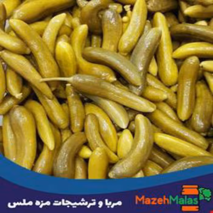 خیارشور ریز  ویژه دبه ای 8 کیلو خالص تهیه شده از بهترین خیار همدان