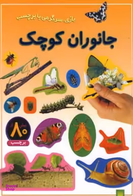 کتاب جانوران کوچک اثر راحله عابدین‌نیا انتشارات پیدایش