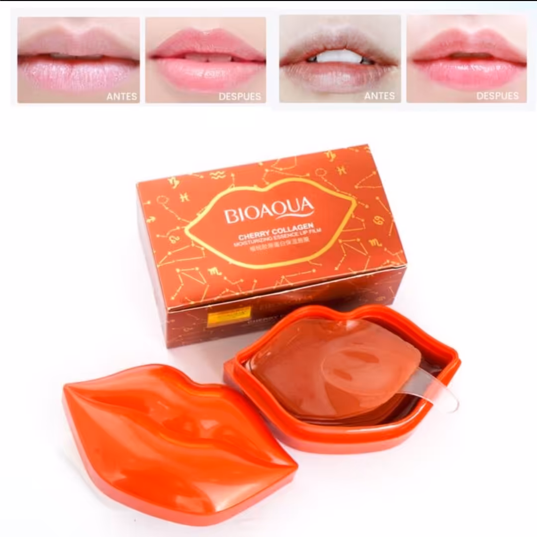 پچ لب کاسه ای 20 عددی بیواکوا