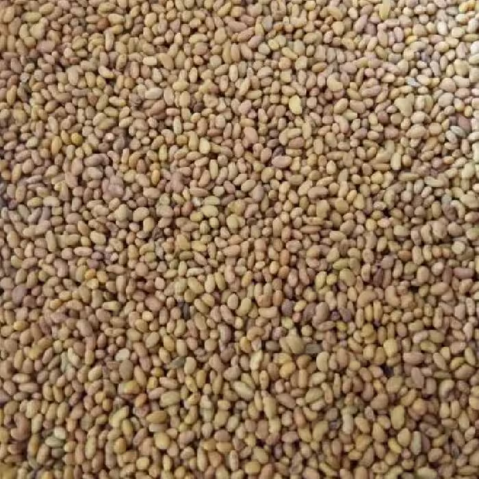 تخم یونجه درجه 1   250گرم