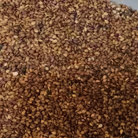 کنجد قهوه ای ایرانی (پاک شده و شسته شده) وزن 500 گرم (پس کرایه)