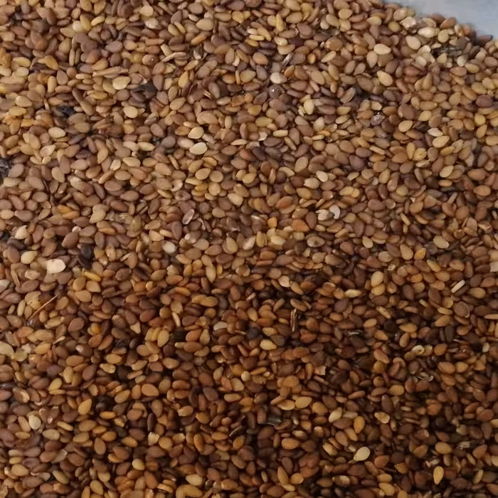 کنجد قهوه ای ایرانی (پاک شده و شسته شده) وزن 500 گرم (پس کرایه)