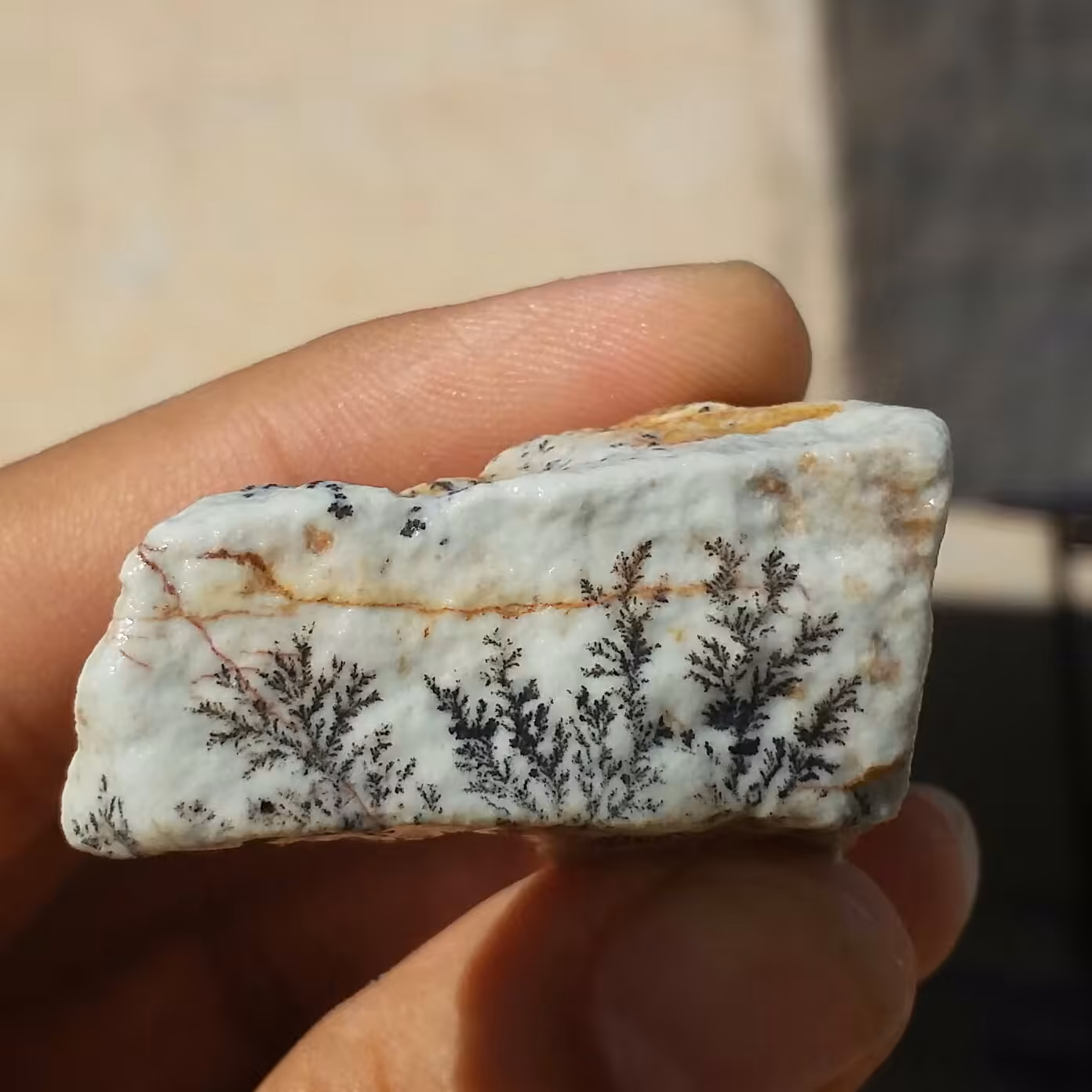 سنگ راف 100 در 100 طبیعی شجر دندریتی یا فسیلی محشر خاص شاهکار خلقت
شجر واضح خاااااااااص

کد 10099