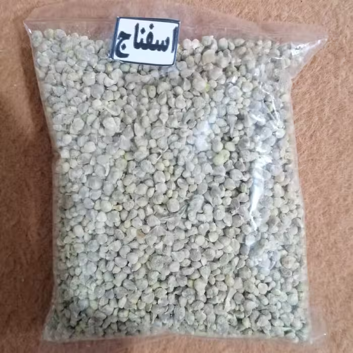 بذر اسفناج