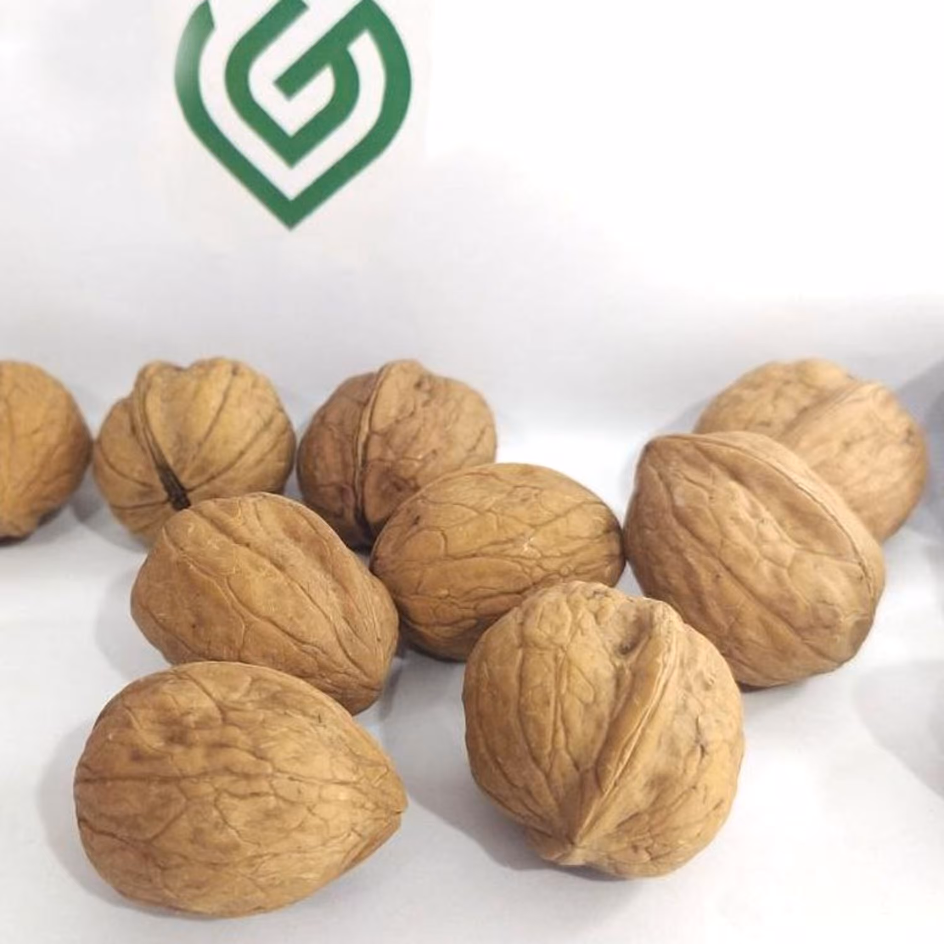 گردوی پر روغن طبیعی مناطق کوهستانی بهشهر (یک کیلوگرم)