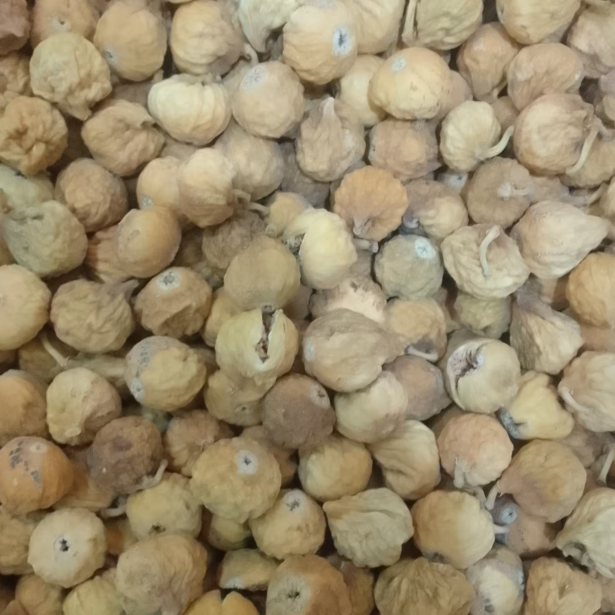 انجیر استهبان دو آ (500) گرم