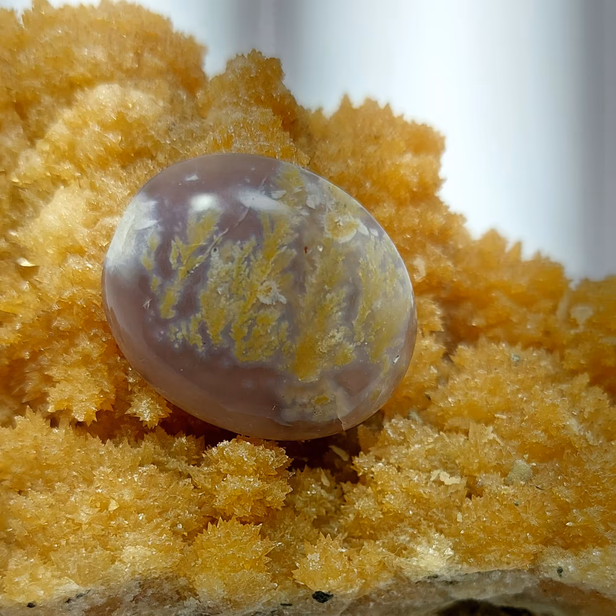 عقیق شجر بهاره با تراش گنبدی و پولیش عالی کار دست.