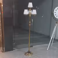 کنار  سالنیzl00045