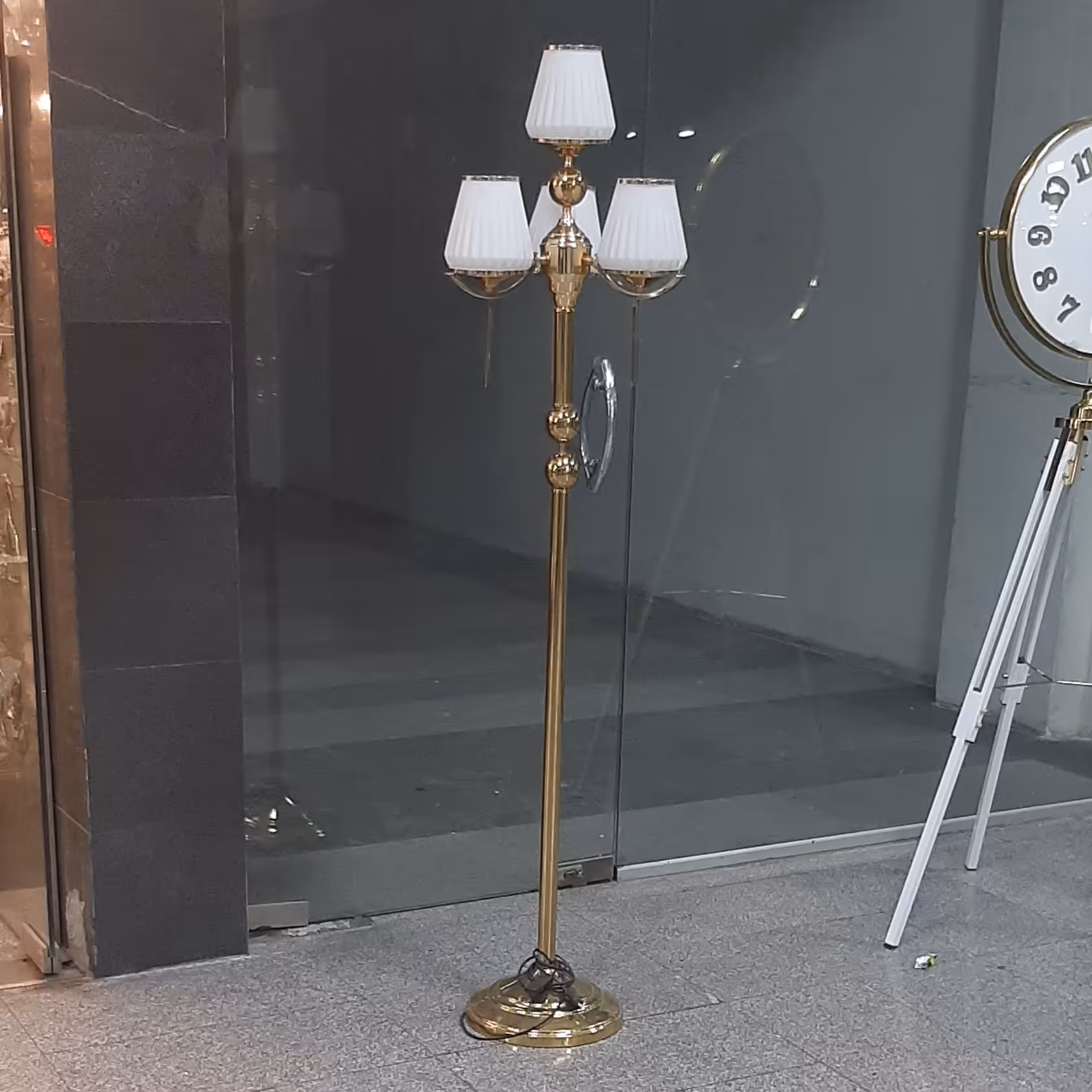 کنار  سالنیzl00045