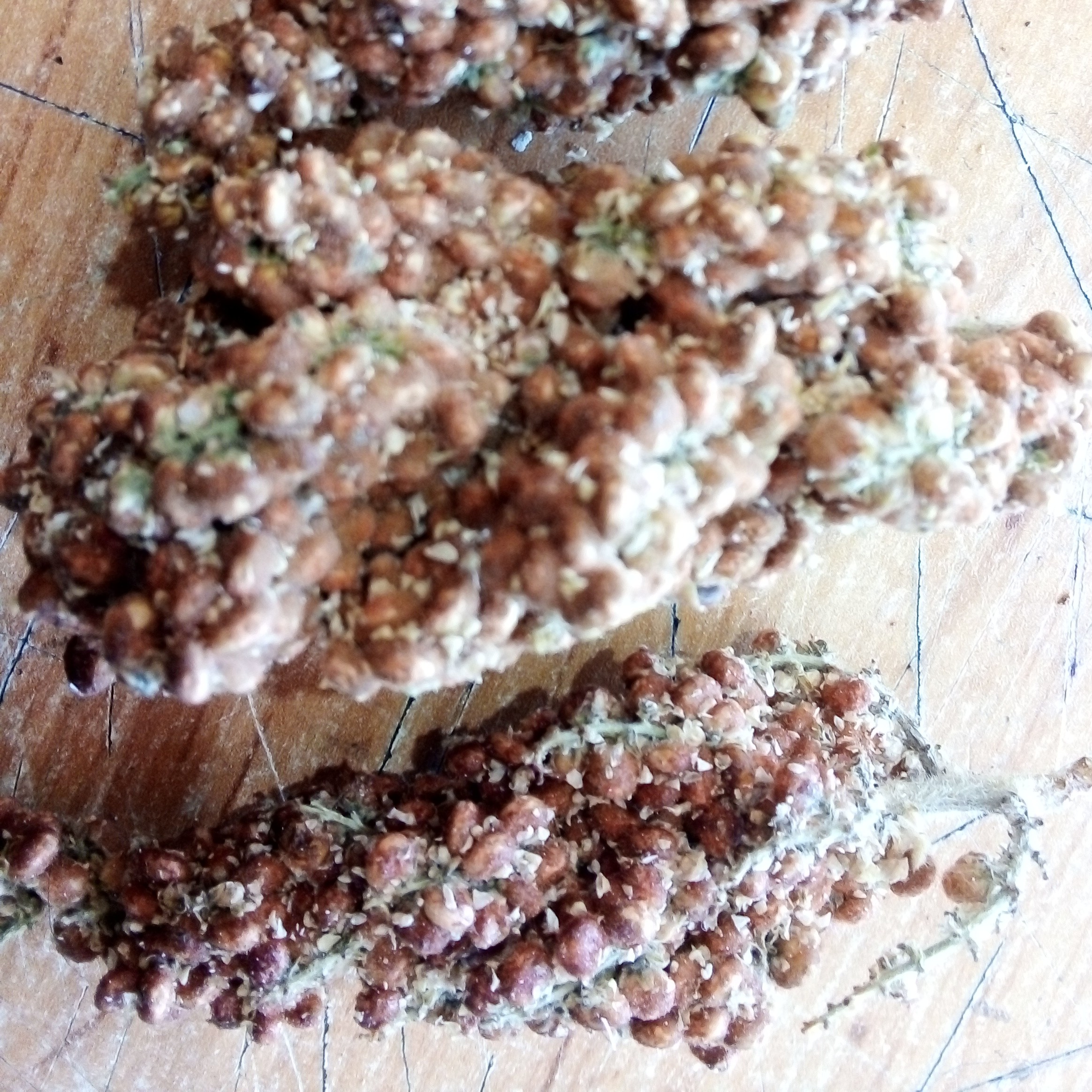 سماق کوهی