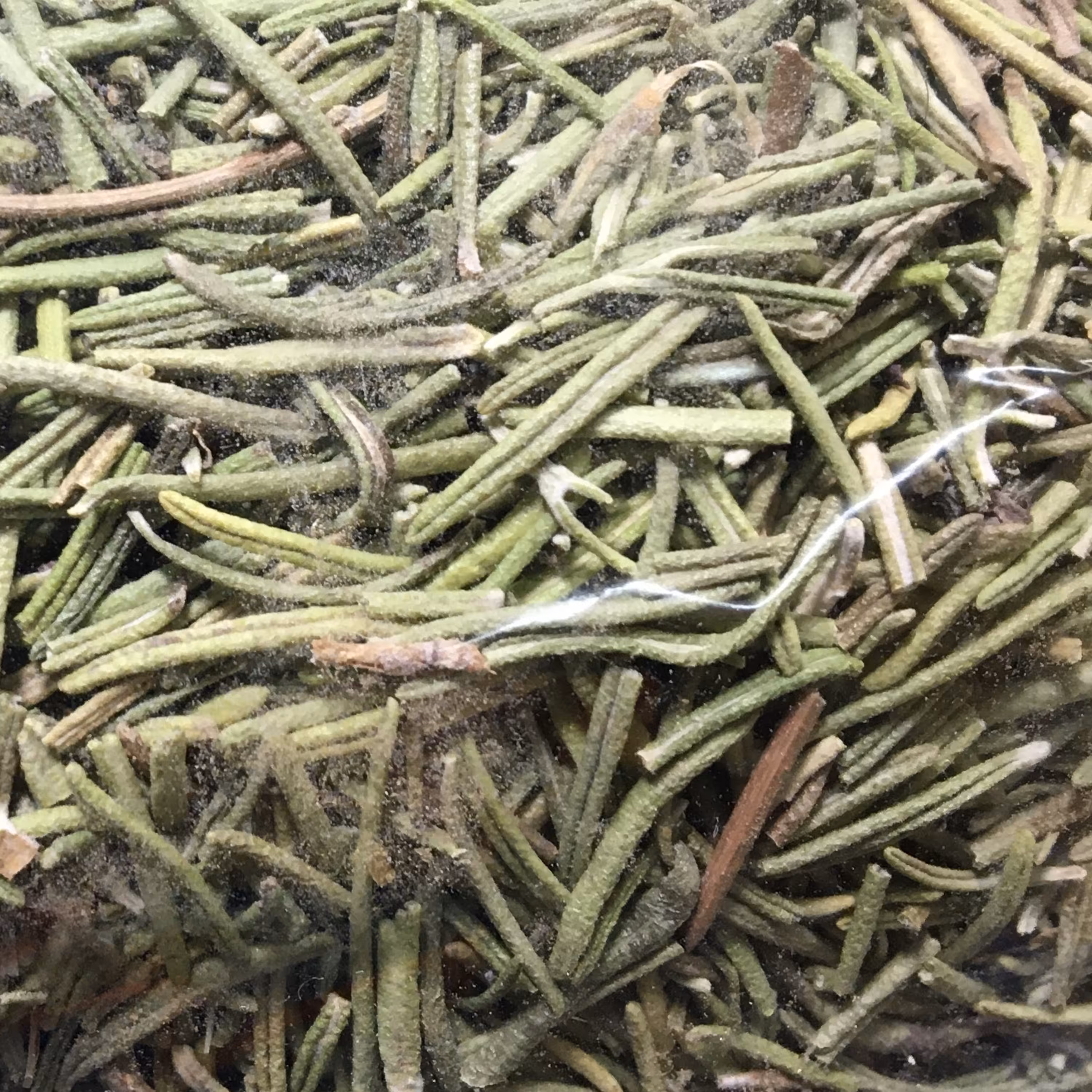 رزماری خشک50 گرم( معطر)