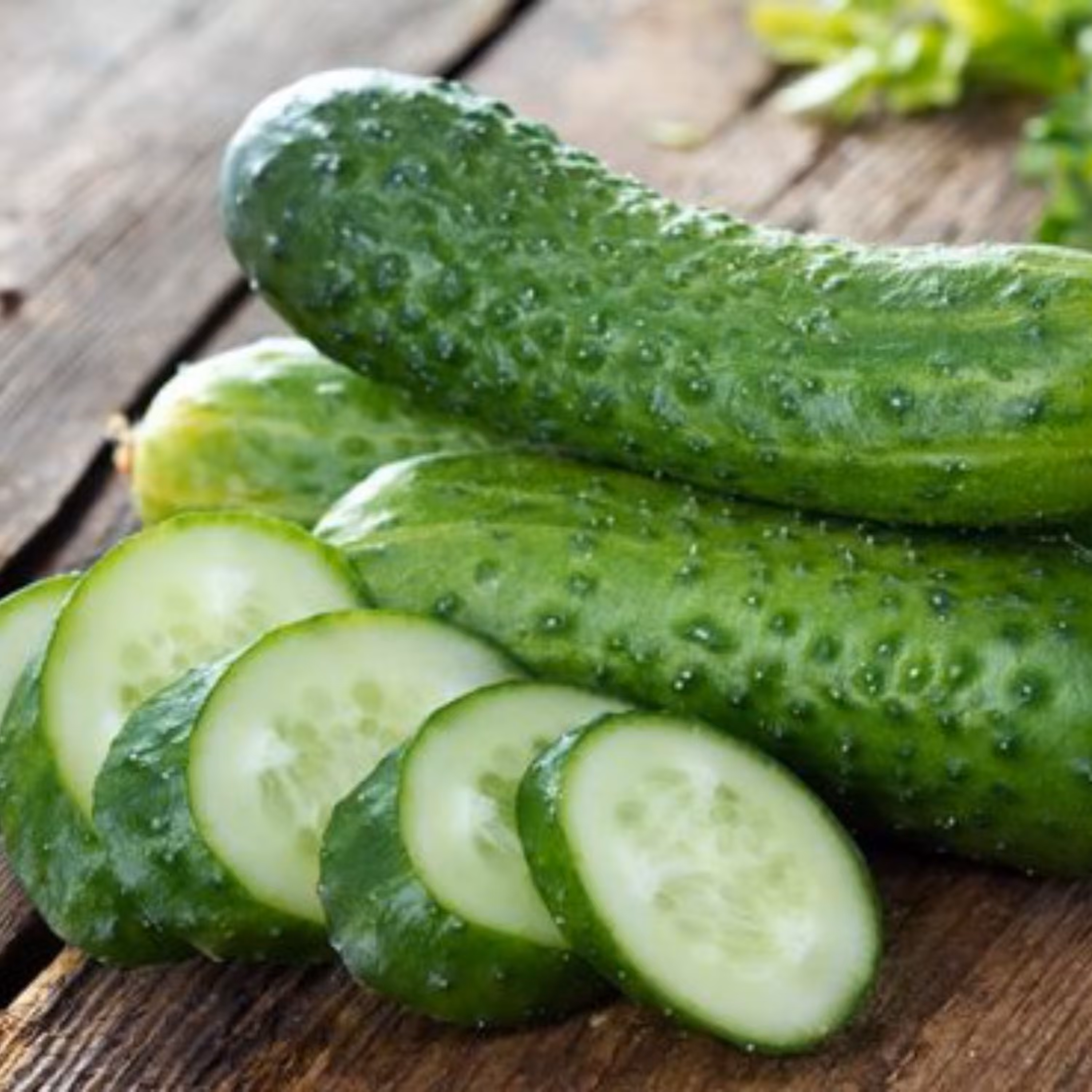 بذرخیارخاردار بوته ای زودرس اسپانیایی بسته 10 عددی