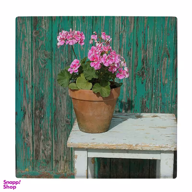 زیر لیوانی طرح گلدان شمعدانی روی میز کد 5775168_4116