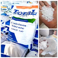 کود نیترات کلسیم ToraL 15kg - با قدرت جذب بالا در درختان و گلخانه ها (پس کرایه)