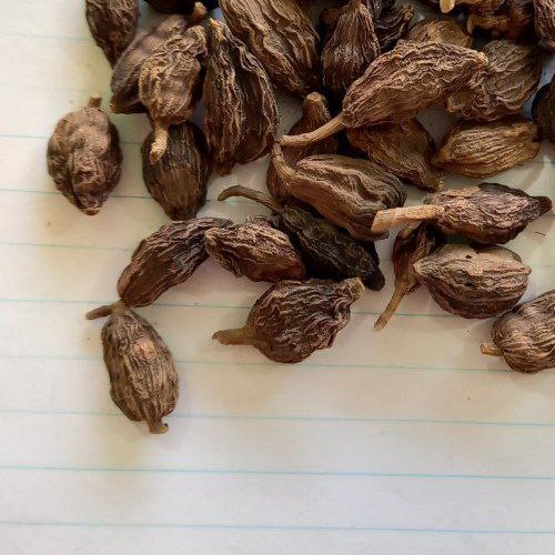 هل باد یا هل سیاه ( 1 کیلوگرم )
هل قراب قاقله کبار
Black Cardamom