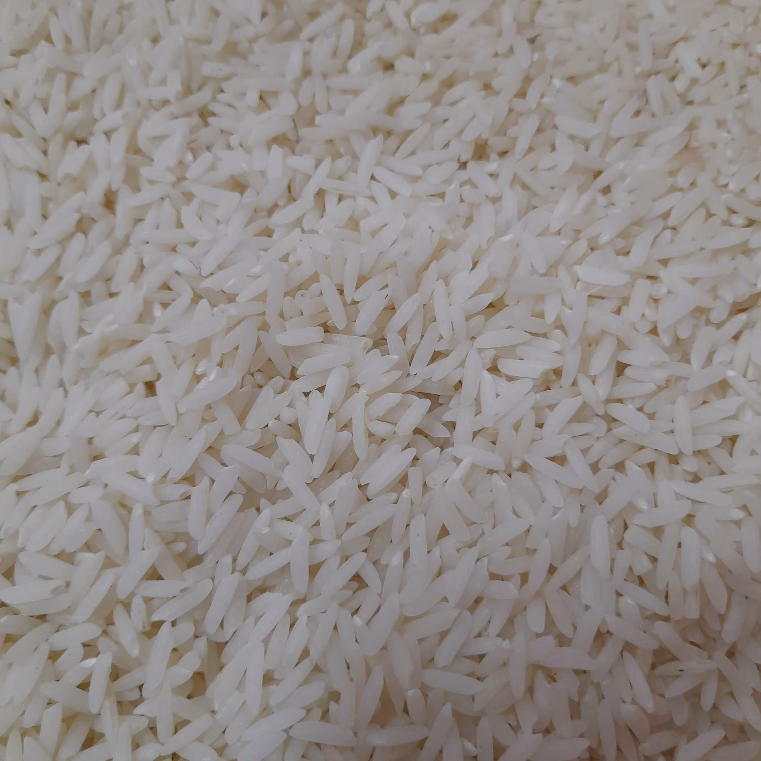 برنج طارم هاشمی 50 کیلویی کشت اول دابودشت درجه یک