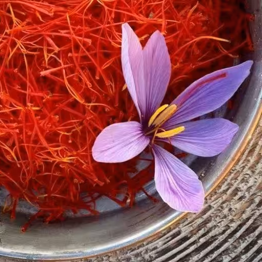  زعفران قائنات