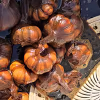 سیر ترشی طارم 