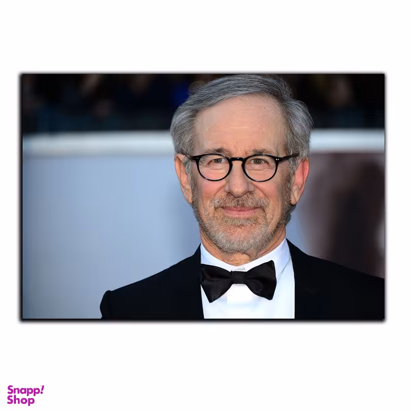 تابلو شاسی بکلیت طرح کارگردانه هالیوود استیون اسپیلبرگ مدل SH-6425