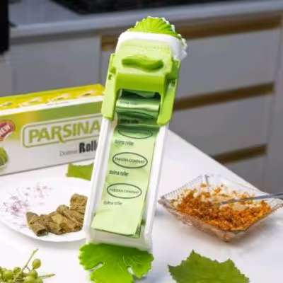 دلمه پیچ پارسینا