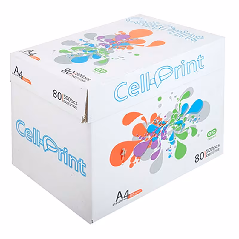کاغذ A4 سل پرینت 80 گرمی کارتن 5 عددی &ndash; قیمت و خرید | برایتو