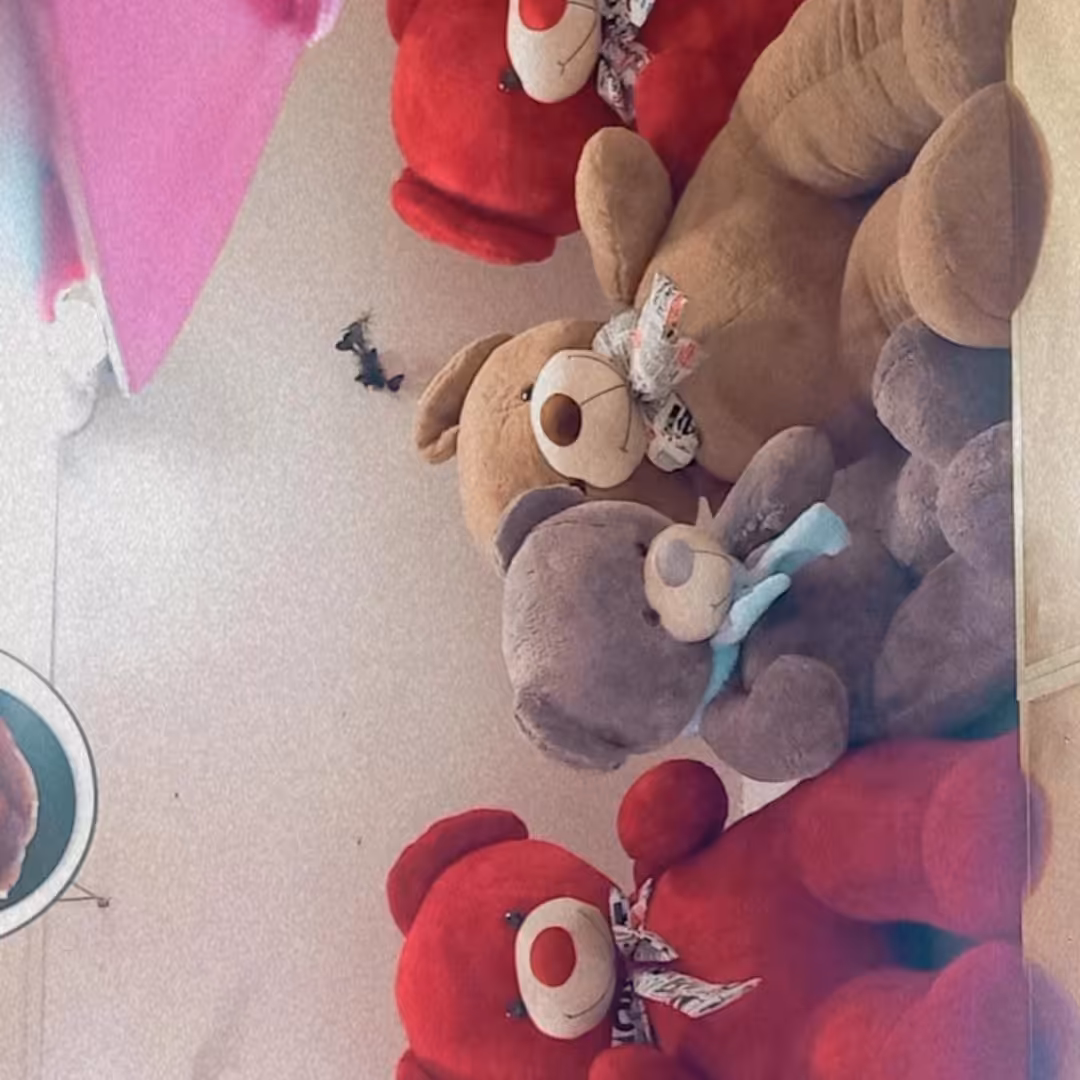 انواع عروسک های پولیشی خارجی باکیفیت وقیمت مناسب  انواع نیم ست های استیل ادکلن و ساعت مچی های زیباوباضمانت