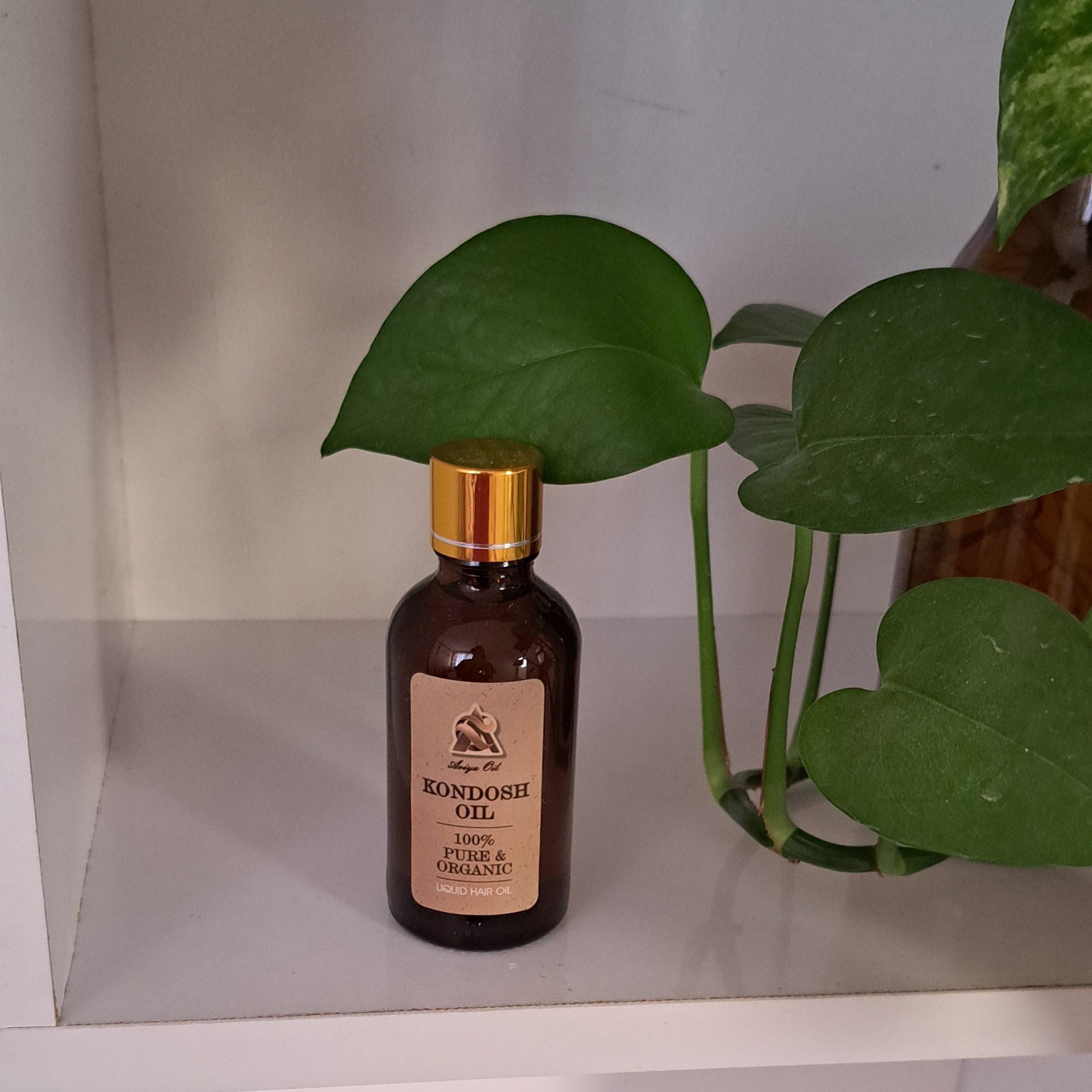 روغن کندش