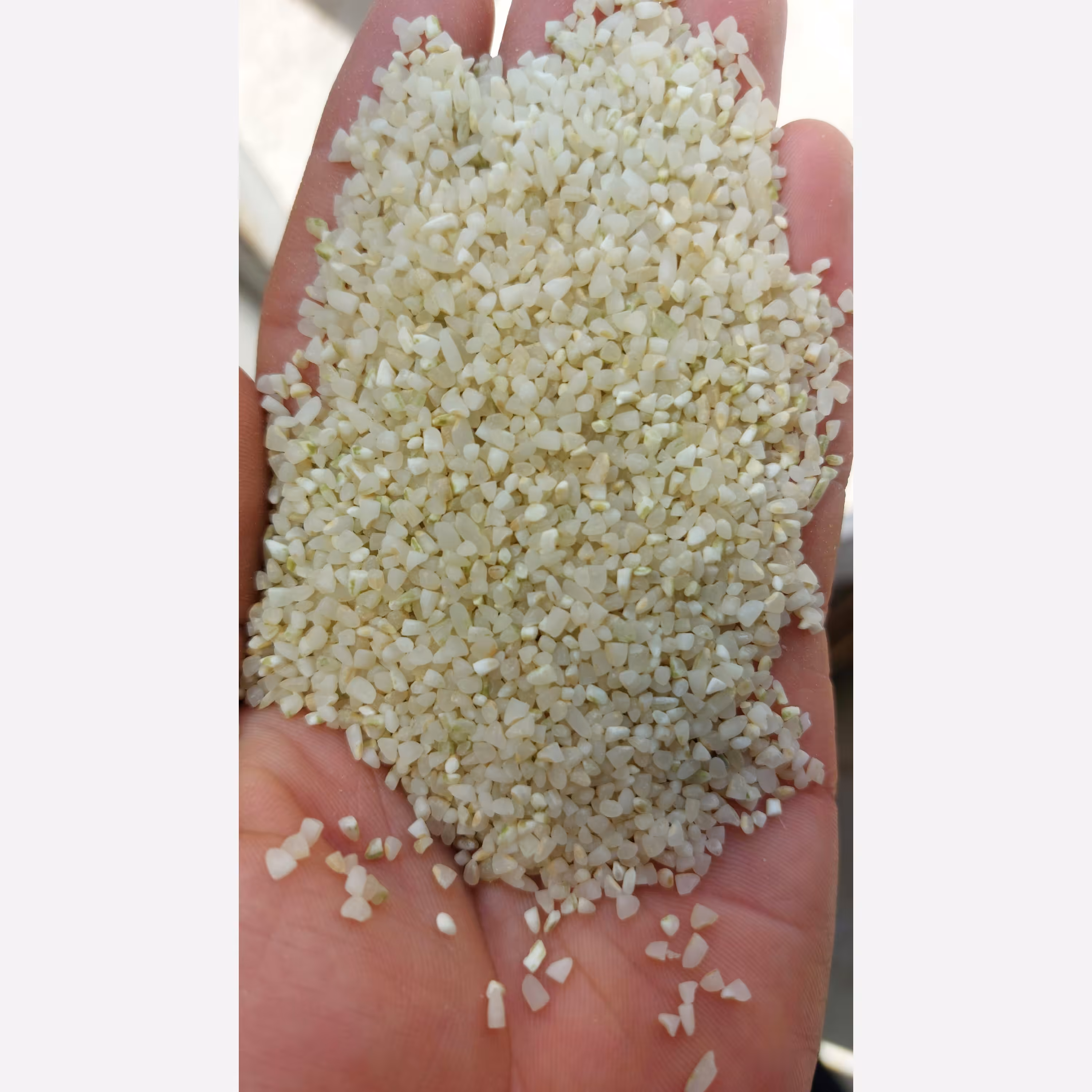 برنج کامفیروزی نیم دانه(خرده برنج ) سورت شده ( 10کیلویی ) (پس کرایه)