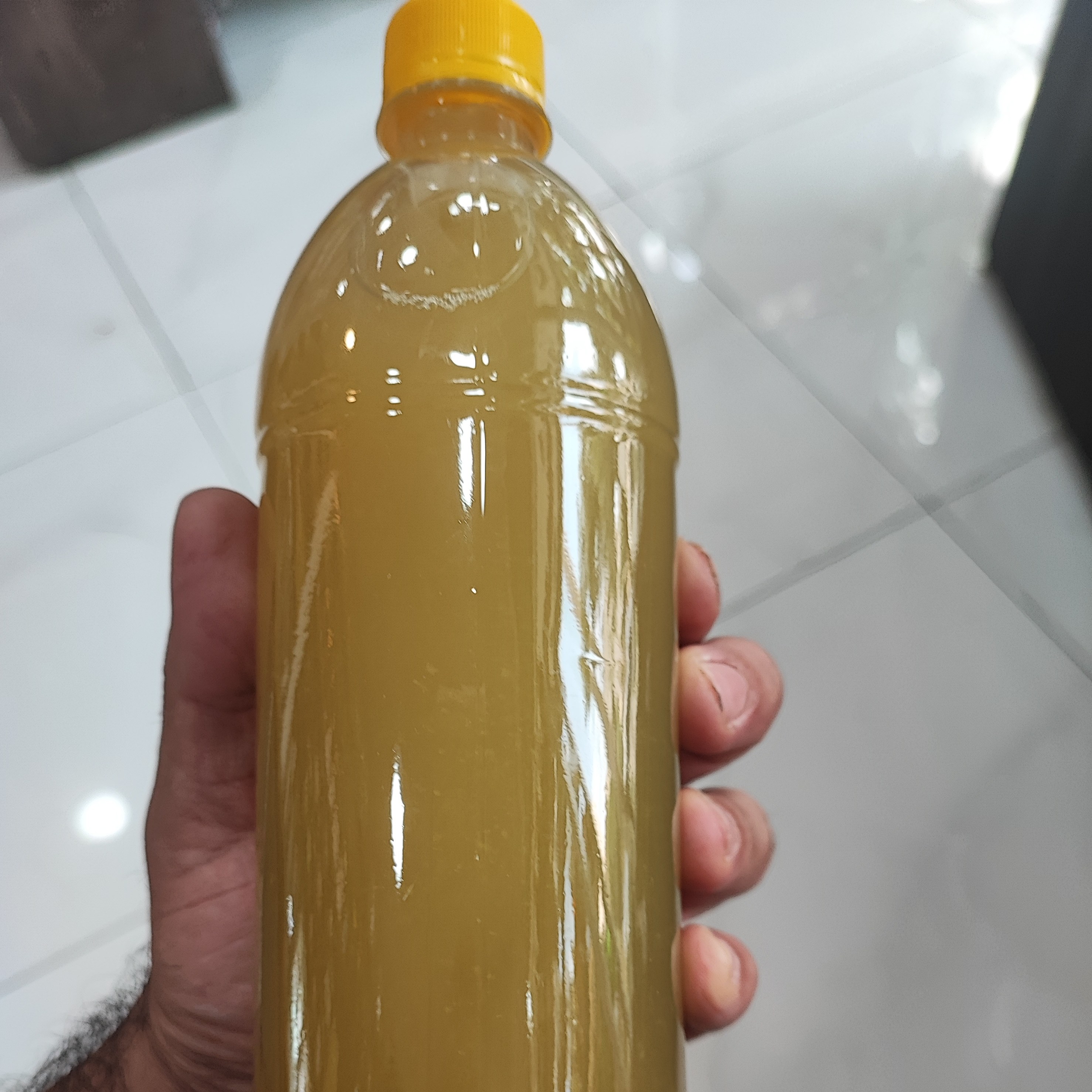 آبغوره شیراز