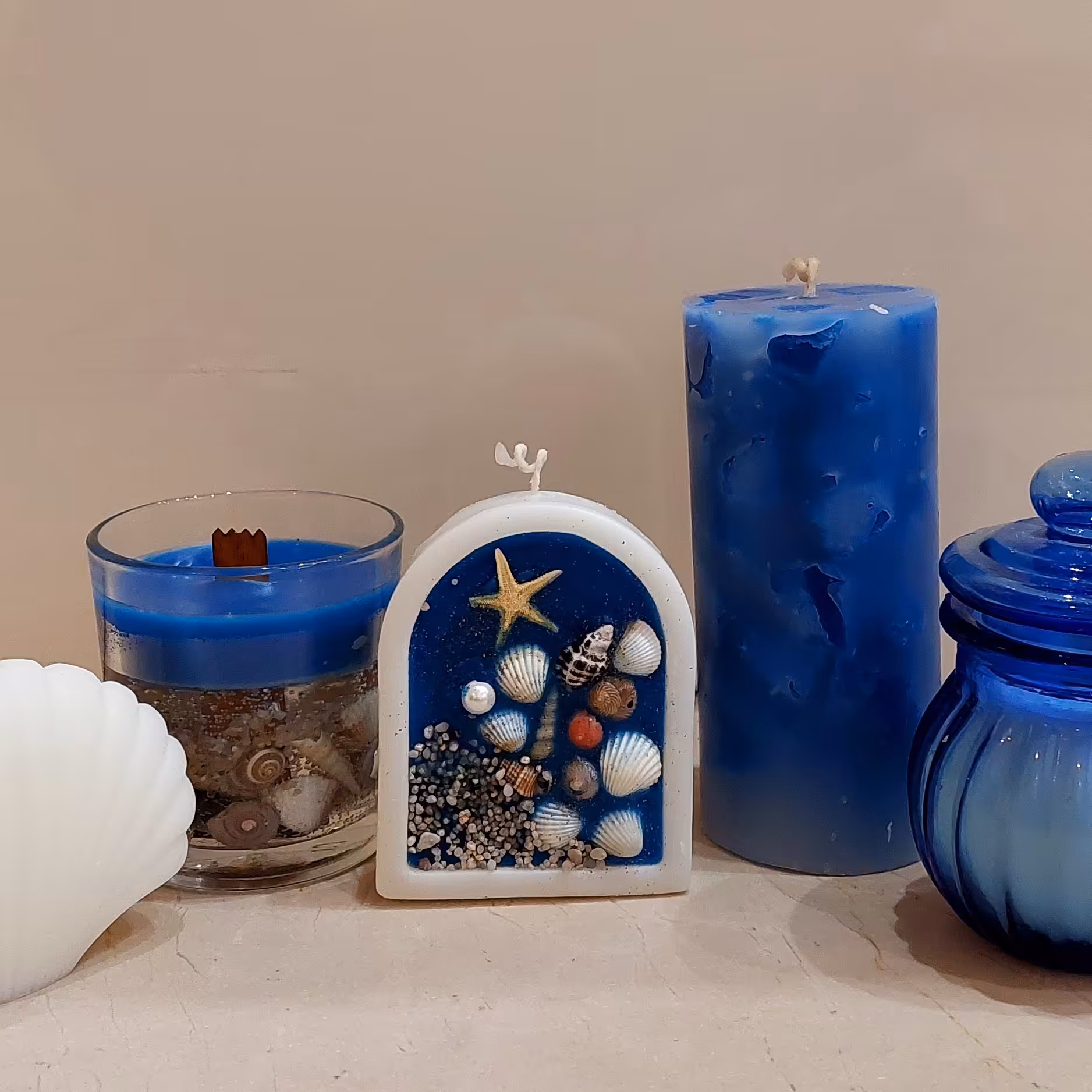 شمع دریایی صدف