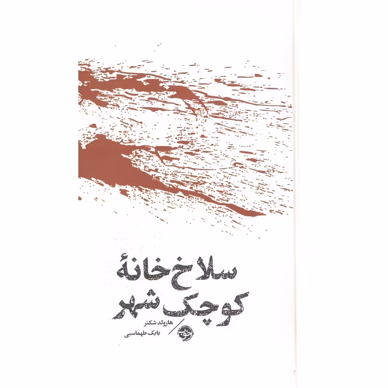 سلاخ خانه کوچک شهر