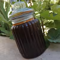 رب انار امسال 