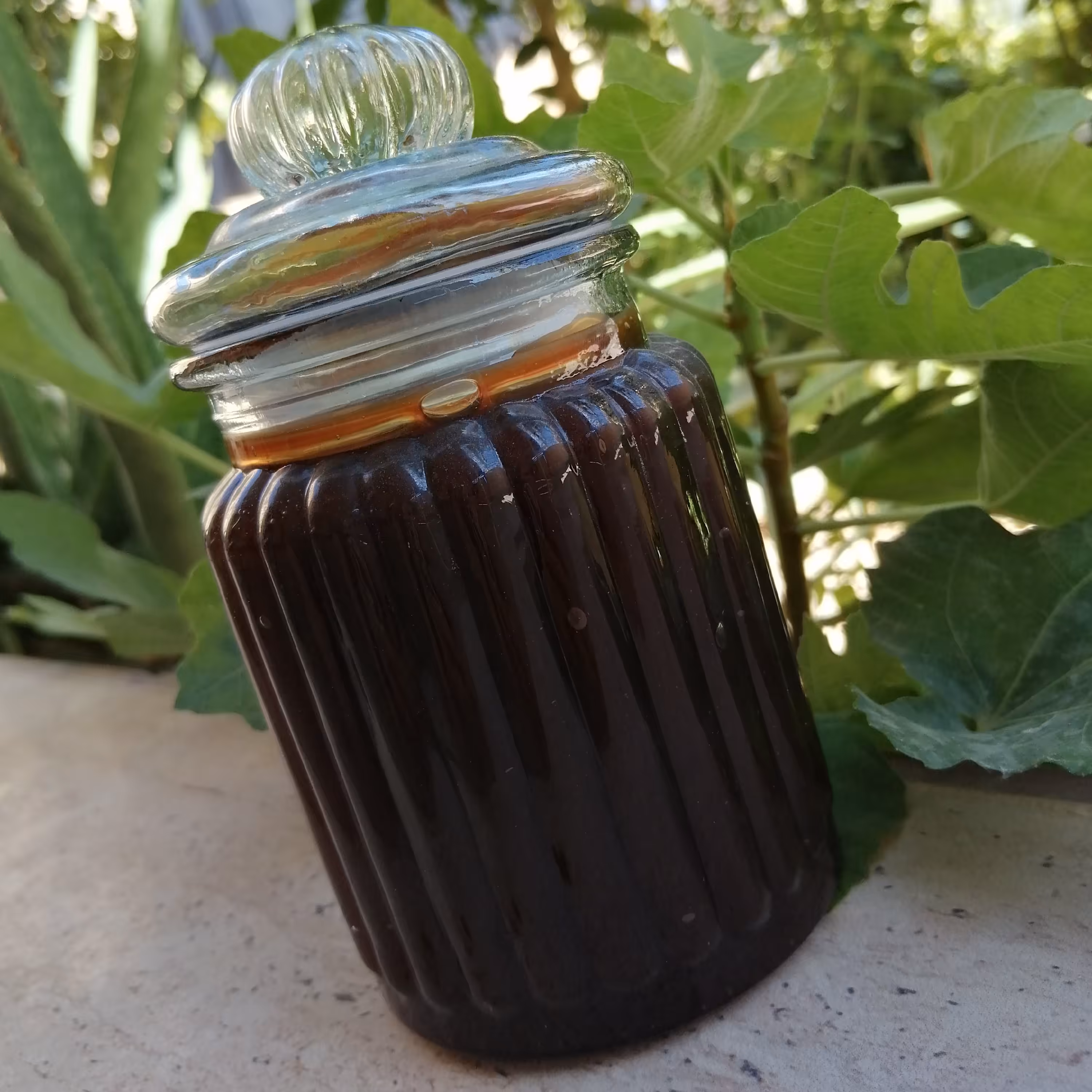 رب انار امسال 