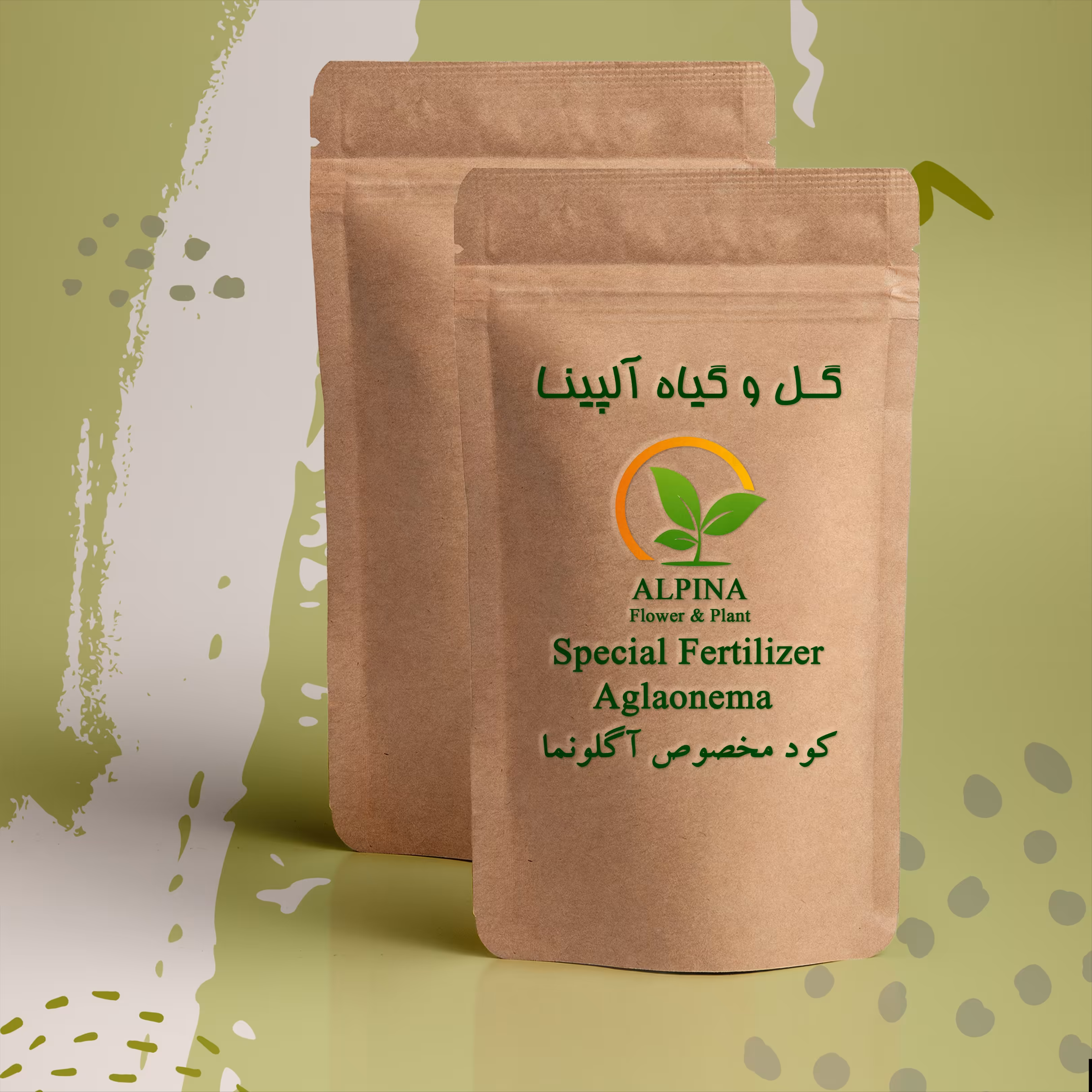 کود اگلونما  سیلورکوئین