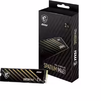 اس اس دی ام اس آیSSD MSI SPATIUM M461 2TB