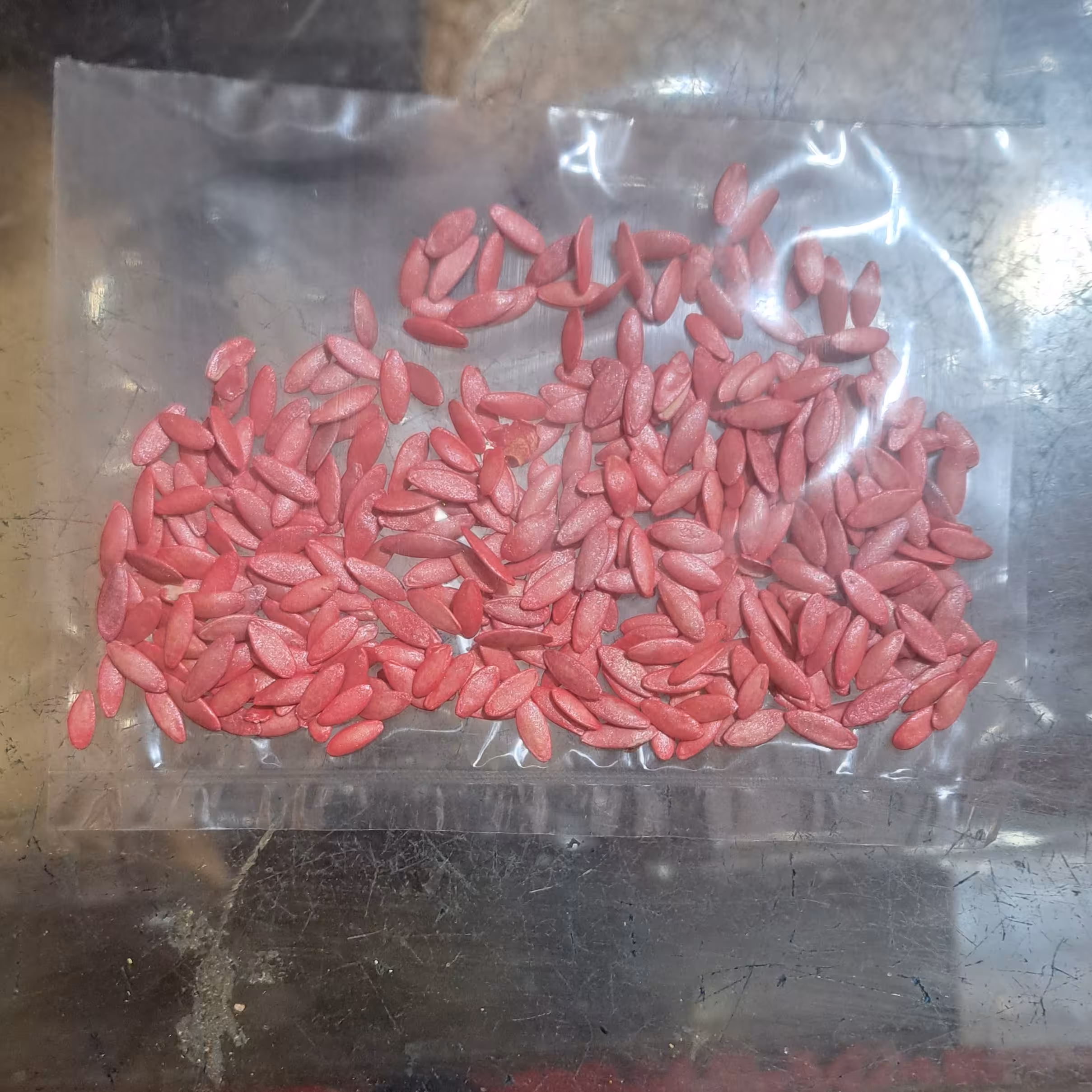 بذر خیار5گرمی،بذر خیار اصلاح شده ،بذر خیار قلمی