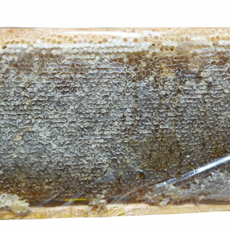 عسل طبیعی با موم گون کوهستانی