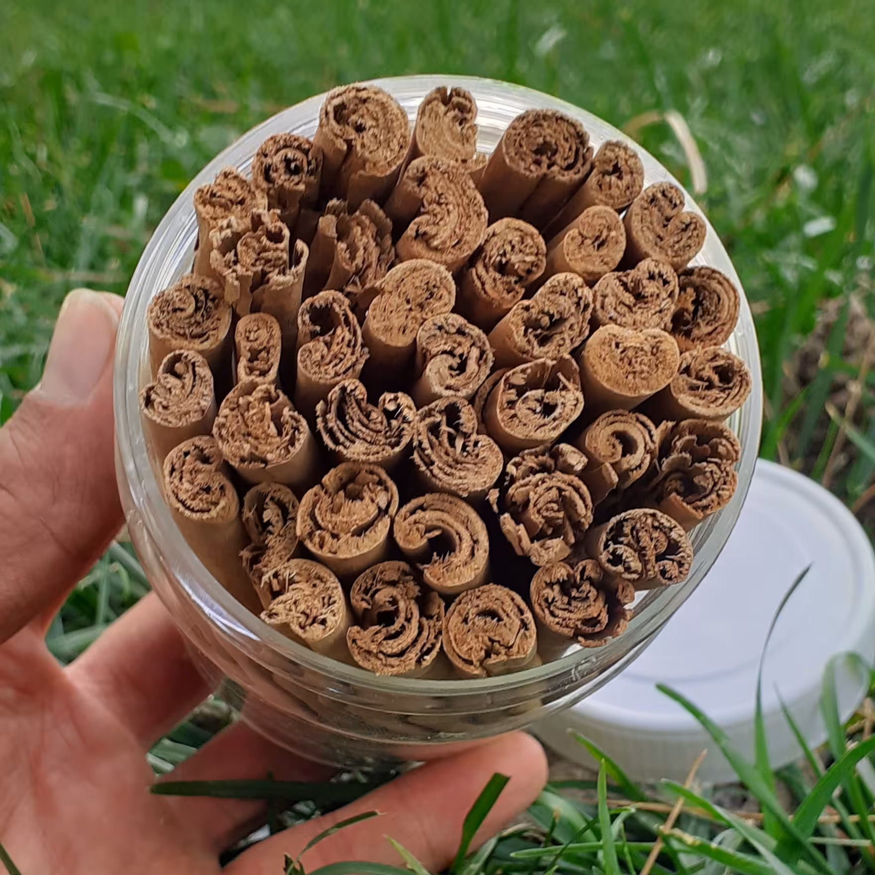 دارچین نسابیده سیلان اصل 100 گرمی