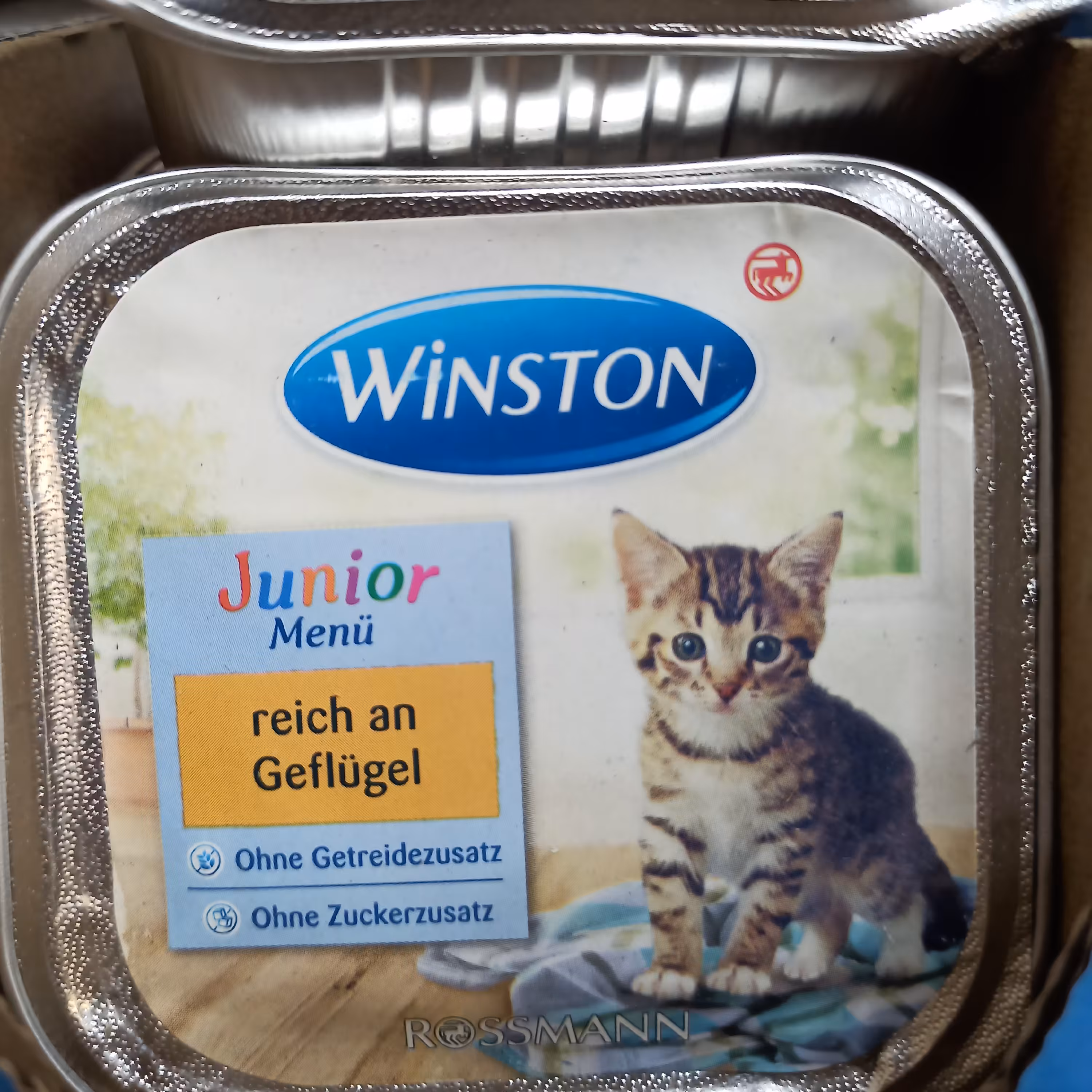 ووم وینستون ساخت آلمان مخصوص بچه گربه