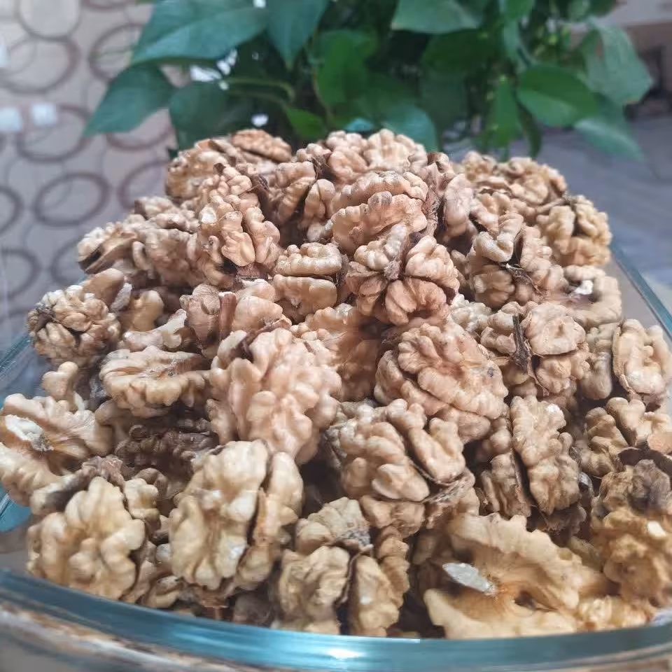 مغز سفید گردو بسیار خوش طعم و خوش عطر 